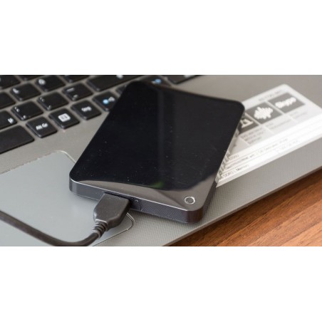 Disque 500 Go Externe USB 2.0  - Ref : DIS500-01