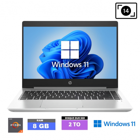 HP PROBOOK 445 G6 RYZEN 3 - RAM 8  Go - SSD 2To - WINDOWS 11- N°03004252 - GRADE B