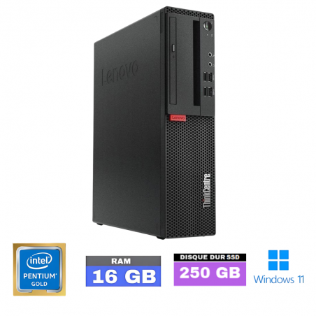 LENOVO THINKCENTRE M710S SFF- 16 Go RAM - SSD 250 Go - Pentium Gold G5400 - Windows 11 - N°03010254 - GRADE B